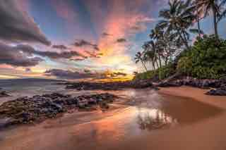 Learn About Maui