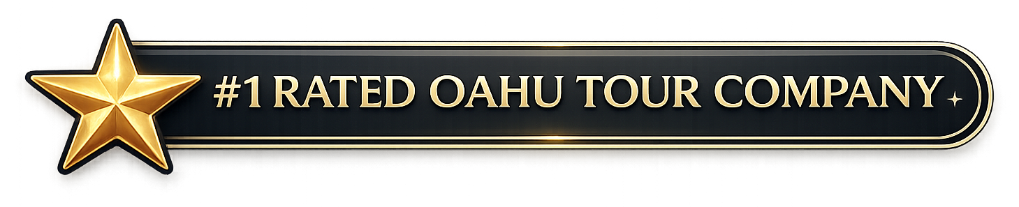#1 Rated Oahu Tour Company